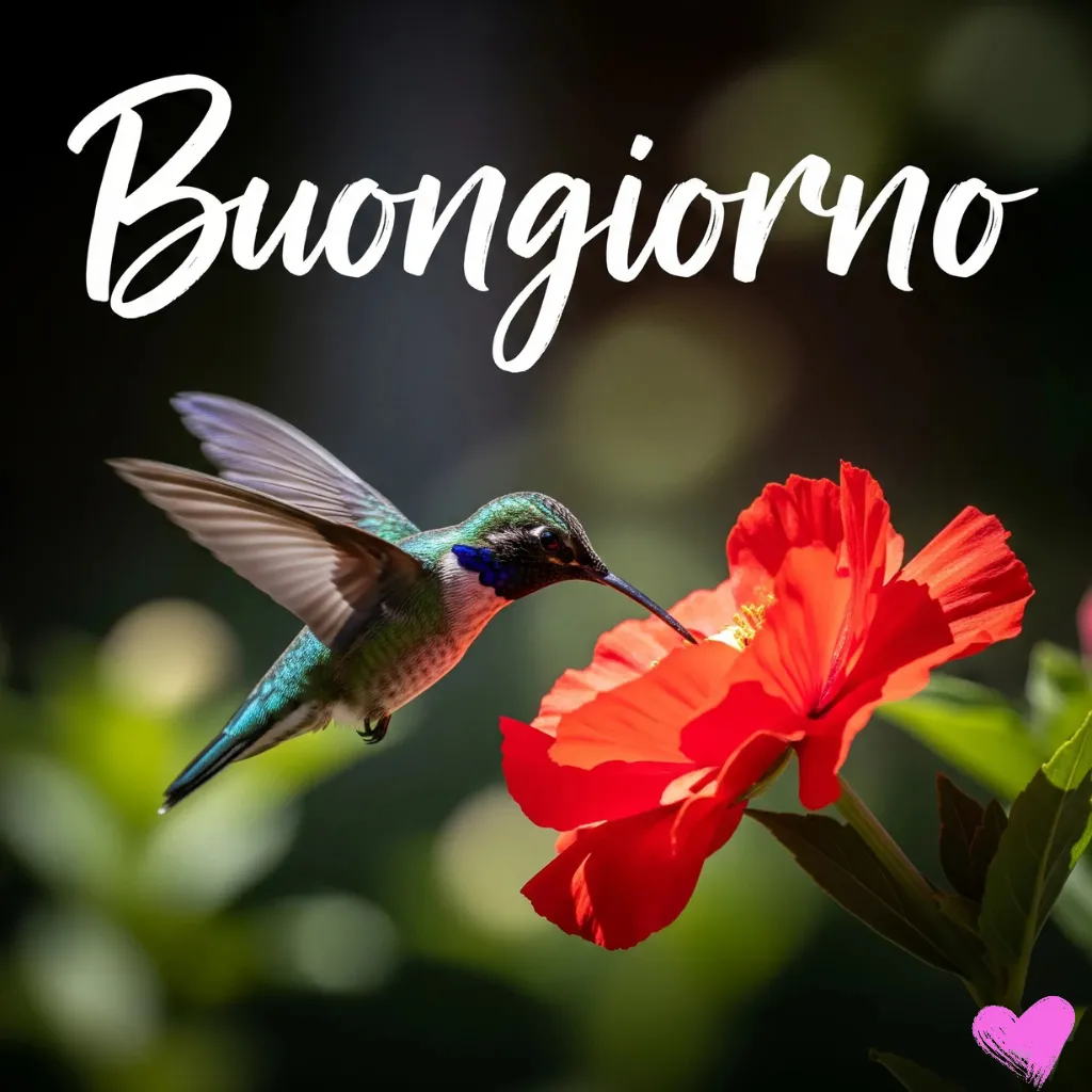 Primo piano di un colibrì con piume blu e verdi che volteggia davanti a un fiore rosso brillante. La parola "Buongiorno" è scritta in corsivo bianco nella parte superiore dell'immagine.